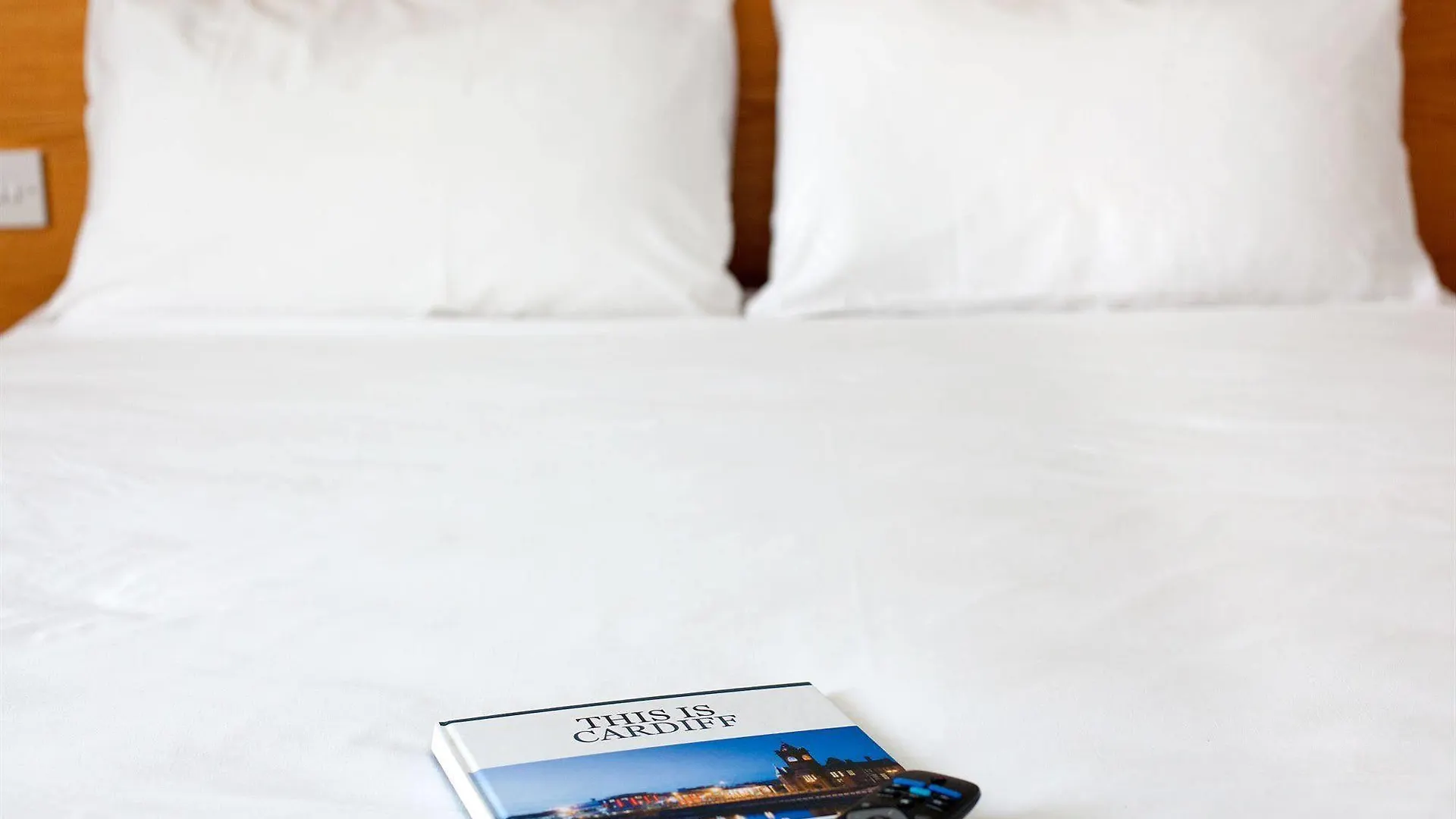 Ibis Cardiff Gate - International Business Park Hotel